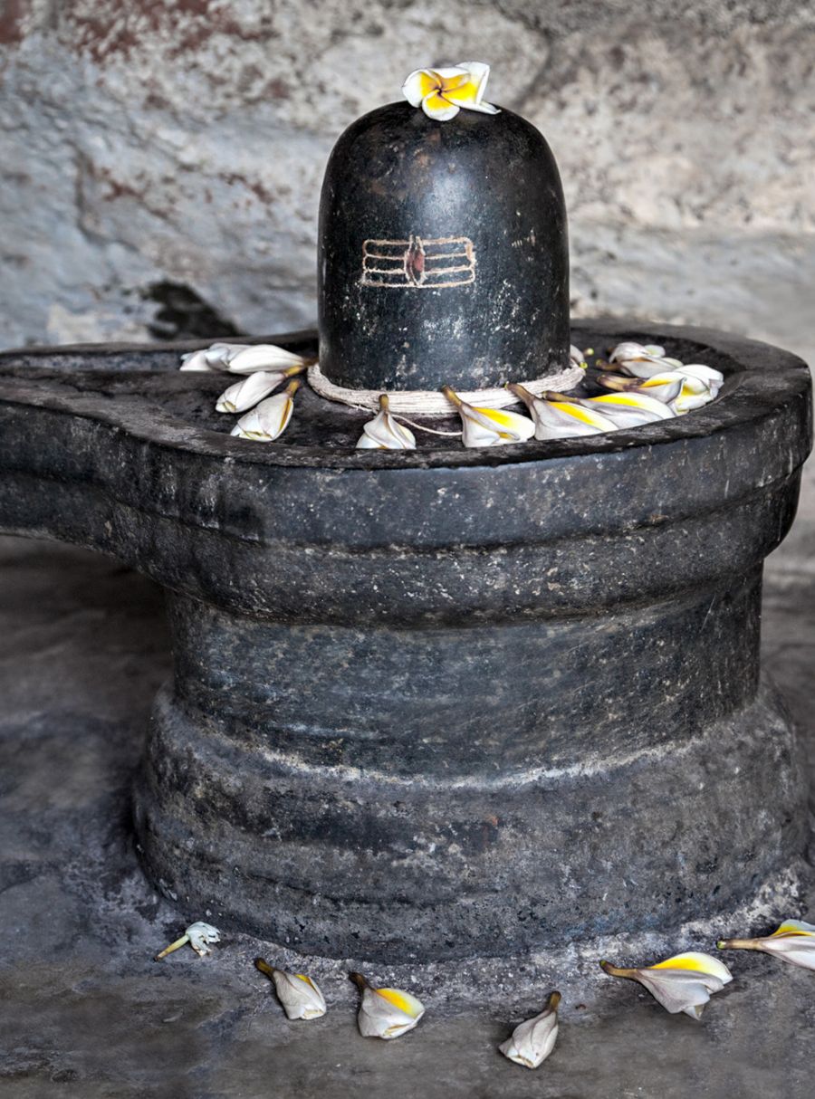  Rudrabhishek Puja